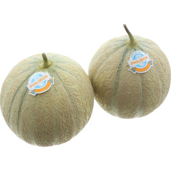 MELON CHARENTAIS PHILIBON 6PCS